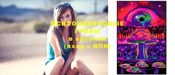 круглые Алзамай