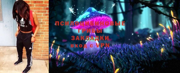 круглые Алзамай