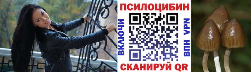 маркетплейс формула  Удачный  Галлюциногенные грибы Psilocybine cubensis 