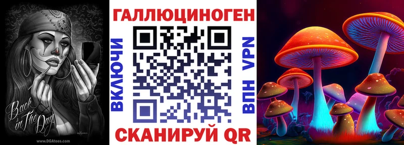 Галлюциногенные грибы Psilocybe Удачный
